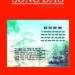 Sống Đạo Hạ Nhâm Dần – 2022